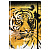 Блокнот ежедневник А5, 128л., Golden tiger, тверд. обл,с резинкой 12385