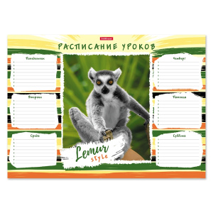 Расписание уроков А3 ErichKrause® Lemur Style 49716