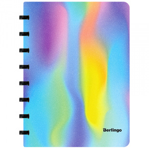 Тетрадь 80л, А5+, на кольцах, Gradient ,клетка,пластиковая обл 5704