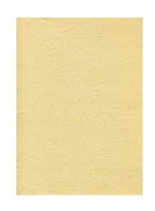 Обложки картонные А4, текстур., Кожа, бежевый, 100л.