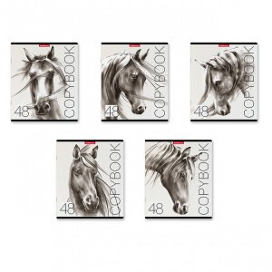 Тетрадь 48л, А5+, блок офсет, картон. обложка, Wild Horse, клетка 49632