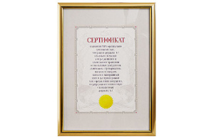Рамка для сертификатов, 21х 30, А4, 10мм, золотая, ATTACHE, 142354