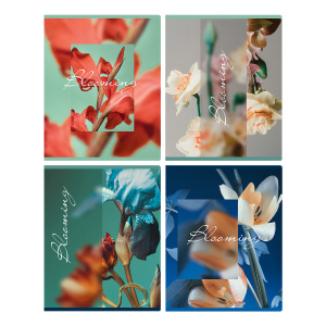 Тетрадь 48л, А5, офсет, цвет. мел. обл., клетка, BG "Blooming" Т5ск48_мл 12712