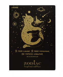 Папка уголок с 1-м отделением, А4, 180мкр, Zodiac, 3074314