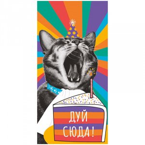 Подарочный конверт для денег , Дуй сюда, вырубка, 334569, 0315.155