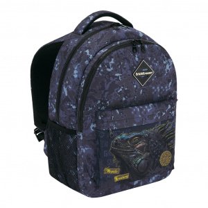 Рюкзак ErichKrause® ErgoLine®  44*33*23 см, 48608