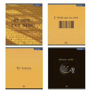 Тетрадь 36л, А5, офсет, цвет. мел. обл., клетка, Positive book , Alingar  AL 9905