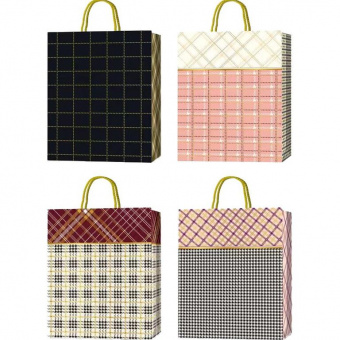 Пакет подарочный, 18х23х8 см, Classic Check ,4 дизайна, 9041412