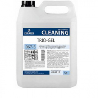 Хоз Средство для дезинфекции с моющ. эф. проф. химия Pro-Brite Trio-Gel 5л.638698