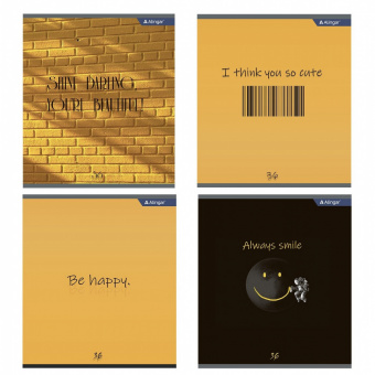 Тетрадь 36л, А5, офсет, цвет. мел. обл., клетка, Positive book , Alingar  AL 9905