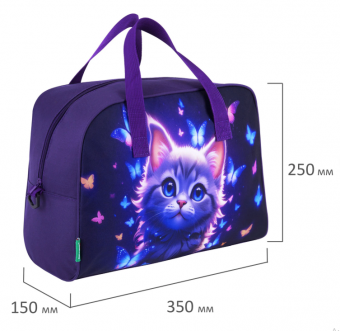 Сумка для дополнительных занятий 35x25x15 см, "Curious cat", 273291
