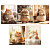 Тетрадь 48л, А5, офсет, цвет. мел. обл., клетка, BG "Cozy cat" Т5ск48_вл 57629