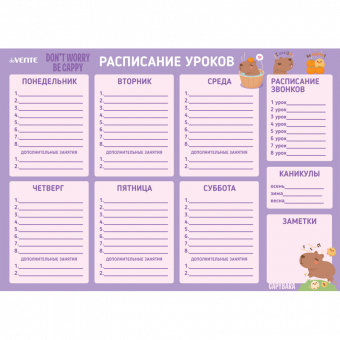 Расписание уроков магнитно-маркерное многоразовое "deVENTE. Capybara" А3 6020506