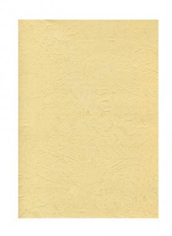 Обложки картонные А4, текстур., Кожа, бежевый, 100л.