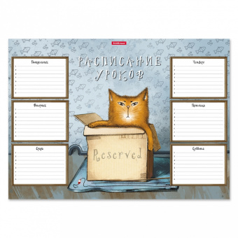 Расписание уроков А3 ErichKrause® Cat & Box 49708